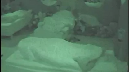 גבר מזיין שדיים של אישה עם גוף מעורר סרט ארוטי מלא תיאבון.