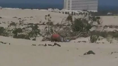 ללקק סרטי סקס חינם להורדה שתי בנות.